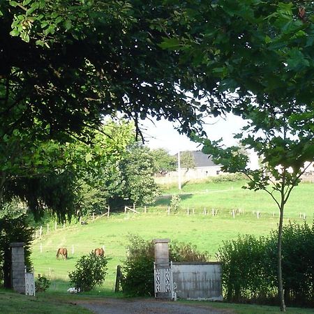 Furnished Bungalow In Monceau En Ardenne With Garden Barbecue Oizy Eksteriør billede